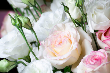 Tender Rose flower in bouquet close up. Background of white roses.