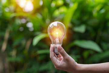 light bulb against nature, icons