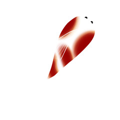 Craft fish and they are friends