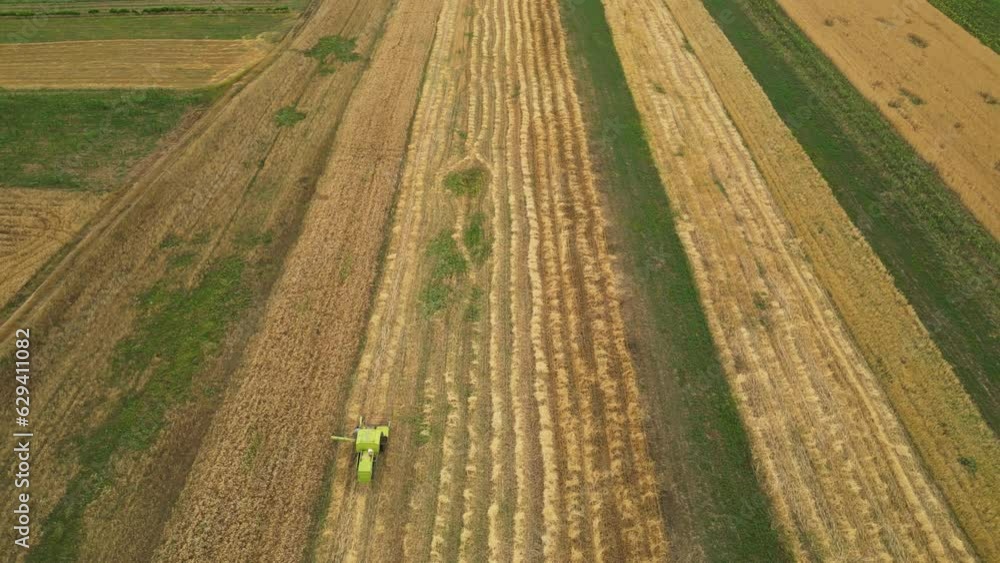 Poster down top drone view of a combine harvester working in a wheat field