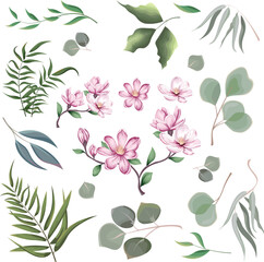 Fototapeta na wymiar Mix of herbs and plants vector big collection. Green plants and leaves. All elements are isolated. A branch of pink magnolia, sakura. . Vector illustration