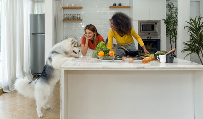 Two women share a jovial moment in the homely kitchen. Amidst their laughter, a Siberian Husky sits...