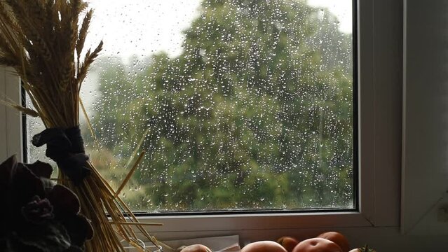 Through the window pane, covered with raindrops, one can see how streams of water formed from the rain fall from the roof.