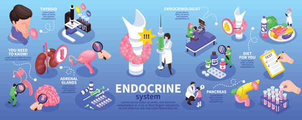 Obraz premium Isometric Endocrinologist Infographic