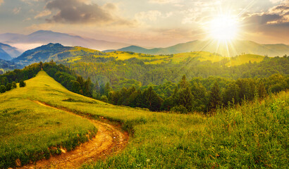 rural landscape with empty dirt road to coniferous forest through the grassy hillside meadow at sunset. high mountain range in the distance. beautiful countryside scenery in evening light