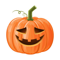Halloween pumpkin . Jack o'lantern . Isolated white background . Vector .
