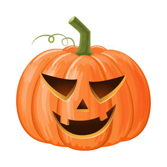 Halloween pumpkin . Jack o'lantern . Isolated white background . Vector .