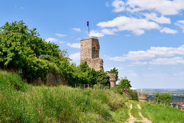  Spur castle ruin called Wachtenburg in Wachenheim city in  Rhineland-Palatinate in Germany