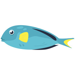 Materiaclima Fish 2D Color Illustrations