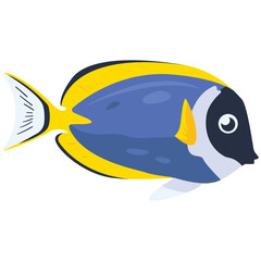 Blue royal Fish 2D Color Illustrations
