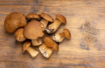 a bunch of boletus porcini mushrooms on a wooden table top view with copy space