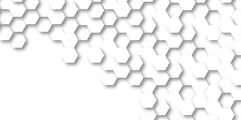 Background with white and black lines 3d Hexagonal structure futuristic white background and Embossed Hexagon , honeycomb white Background ,light and shadow ,Vector.