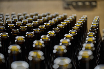 Obraz premium Rows of empty wine bottles at a modern winery