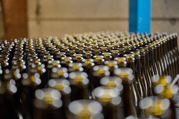 Rows of empty wine bottles at a modern winery