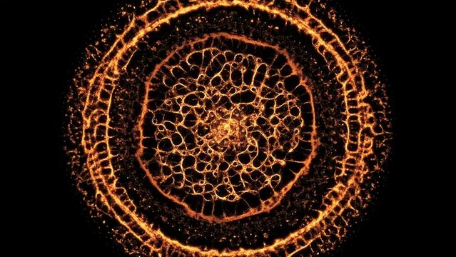 Neural Network Expanding Growth Shockwave.  Black Background
