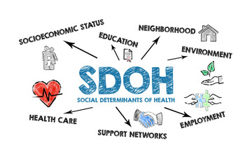 SDOH Social Determinants Of Health. Illustration with icons, arrows and keywords on a white background - obrazy, fototapety, plakaty