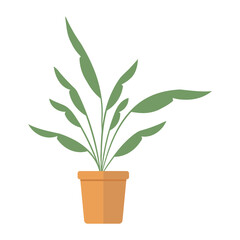 Hand drawn vector potted plant. - Vector.