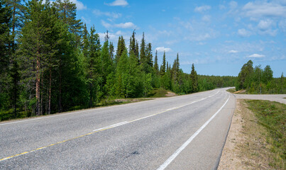 Fototapeta na wymiar Empty asphalt road in the coniferous forest