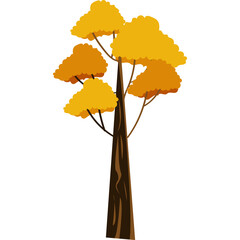 Autumn Trees