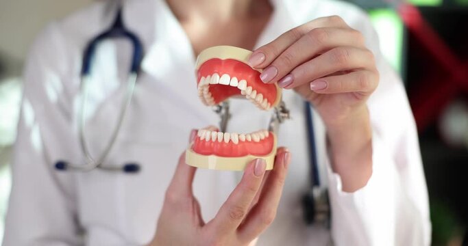 Doctor dentist showing artificial model of human Jaw and opening it closeup 4k movie slow motion. Dental care concept