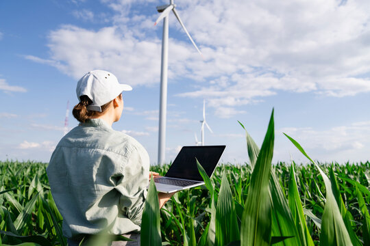 Agronomist examining plants and standing with laptop on sunny day at field