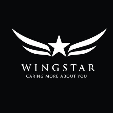 star logo surrounded by the wings design vector image