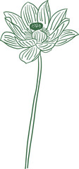 Blooming lotus flower outline
