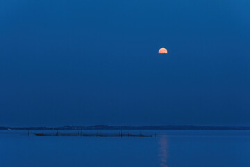night seascape with full moon and moonlight