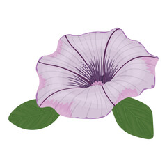 Naklejka premium vector image of pink petunia flower