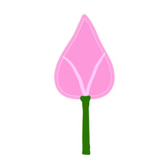 Lotus in pink color