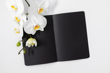 Flat lay, top view of open black notebook and white orchid branch on white background, copy space