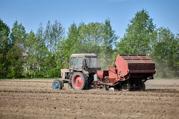Naklejka premium Planting potatoes using potato planter hitched to wheeled tractor.