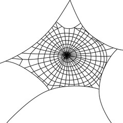 Obraz premium Halloween spider web and spider black doodle outline.