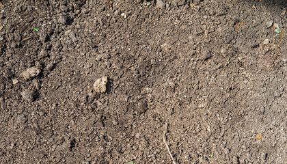 nature ground background, texture of fertile land. soil surface top view