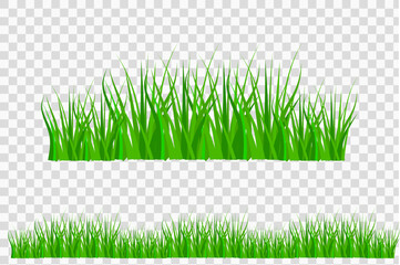Grass border. Summer natural background, green grass. Vector illustration. Eps 10.