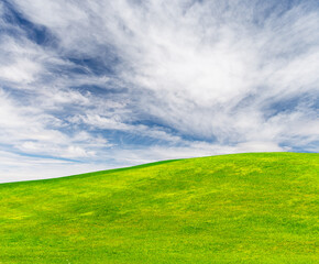 Landscape with green grass field under a blue sky