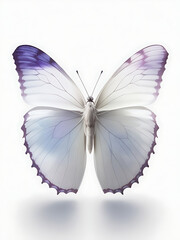 Free realistic bright butterfly isolated on white background