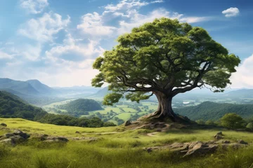 Tuinposter a large tree on top of a hill in a mountainous area. Beautiful landscape. generative ai. © robertuzhbt89