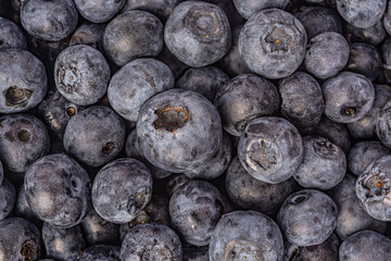 Blueberry background texture food photo. Design template with copy space. Fresh organic berries. 
