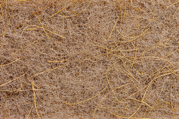 coconut organic fiber, texture, background