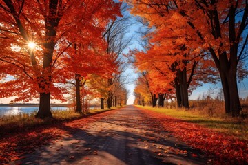 country road covered in a carpet of freshly fallen leaves
