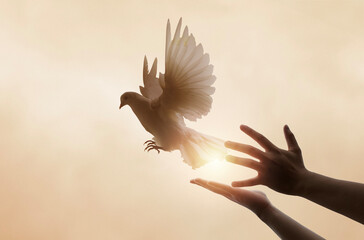 Praying hands and white dove flying happily on blurred background with sunset , hope and freedom ...