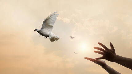 Praying hands and white dove flying happily on blurred background with sunset , hope and freedom  concept. - obrazy, fototapety, plakaty