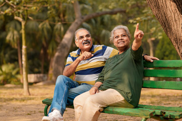 Fototapeta premium indian old couple discuss at park.