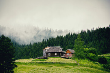 Mountain valley, fog descends from the tops of the mountains through a dense coniferous forest....
