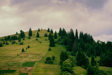 Landscape of rural hills under overcast skies. High quality photo