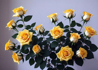 Rose jaune 7 IA