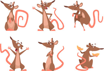 Cartoon rat. Lab mouse in action poses exact cute vector character animals