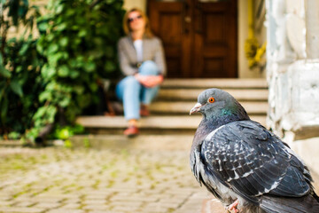 Dove looks at a seated person