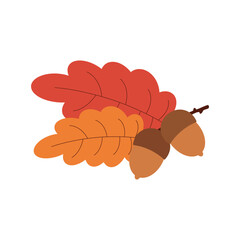 Acorn. Hello autumn. Autumn season element, icon.